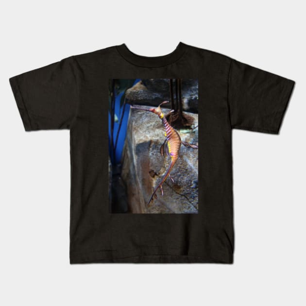 Sea Dragon - Atlanta Aquarium - Georgia Kids T-Shirt by searchlight